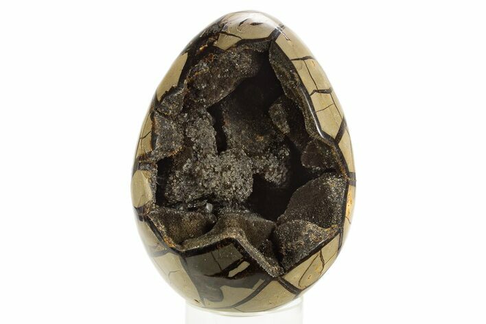 Septarian Dragon Egg Geode - Black Crystals #323469